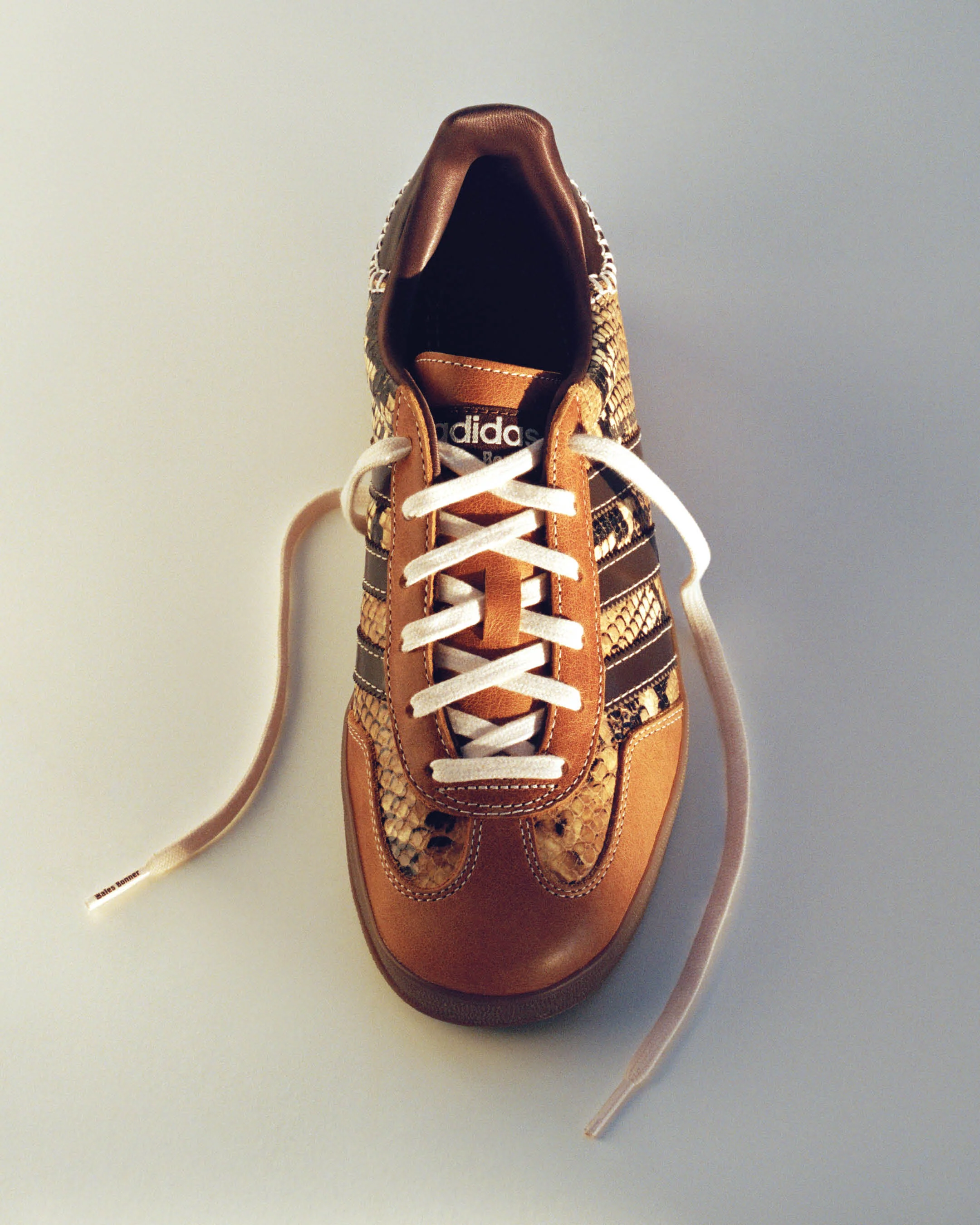 adidas Originals by Wales Bonner Gazelle Snake - Image 7